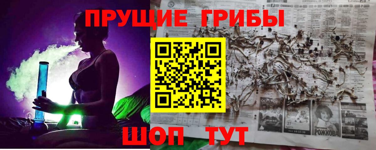 Галлюциногенные грибы Cubensis  Вход с VPN  Находка 